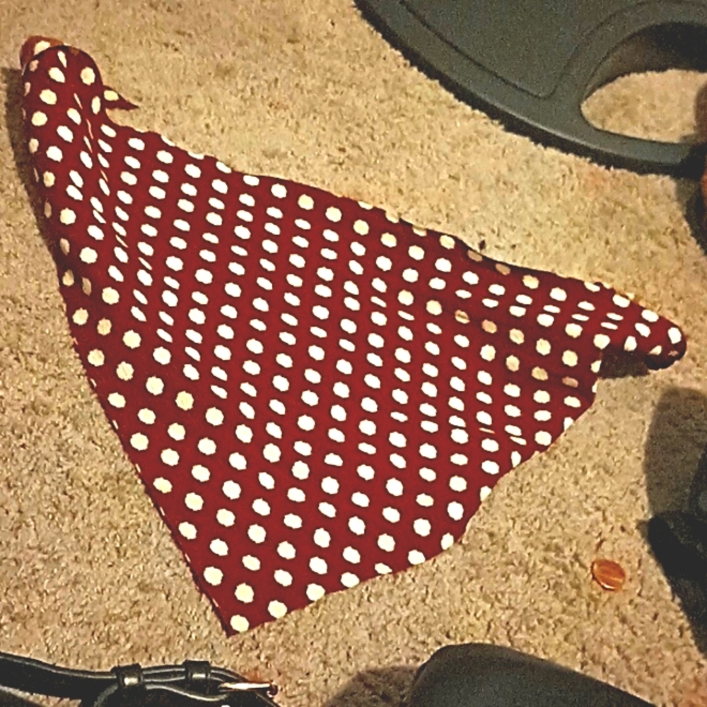 A scarf